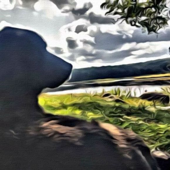 Meet your Posher, Peggy - Picture 1 of 1